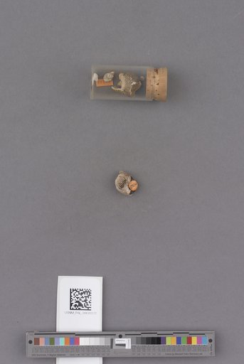 NSF ADBC EPICC TCN