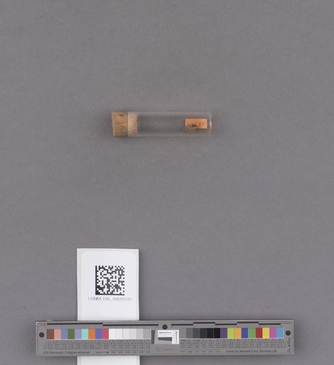 NSF ADBC EPICC TCN
