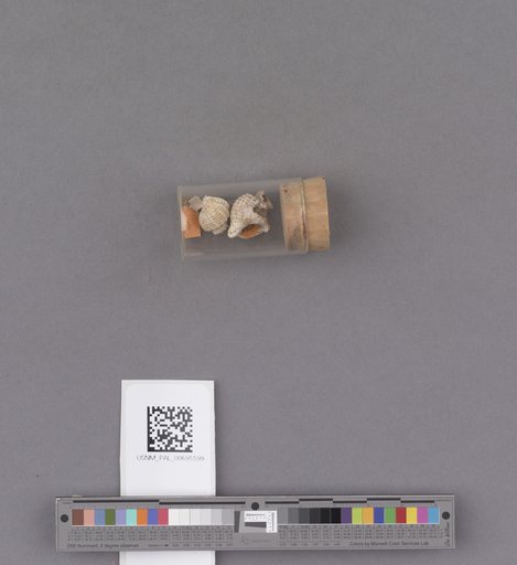 NSF ADBC EPICC TCN