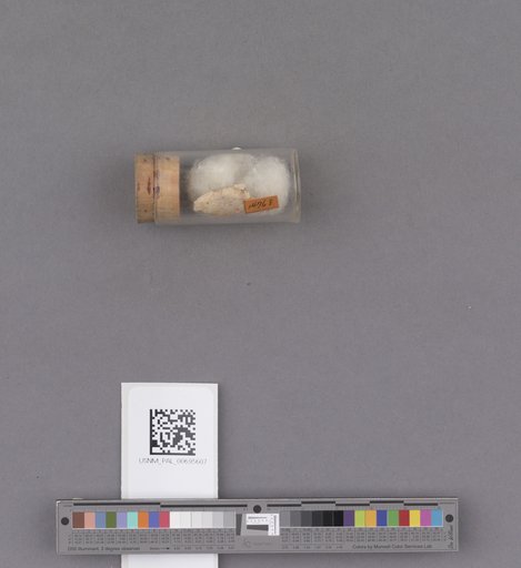 NSF ADBC EPICC TCN
