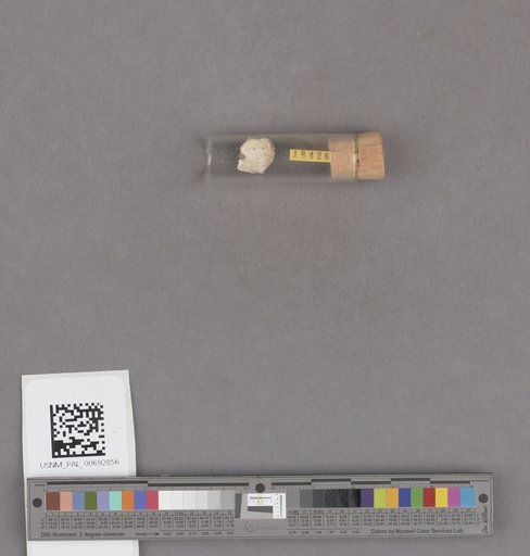 NSF ADBC EPICC TCN