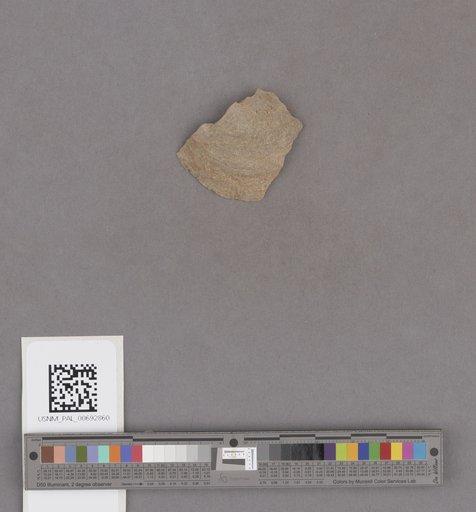 NSF ADBC EPICC TCN