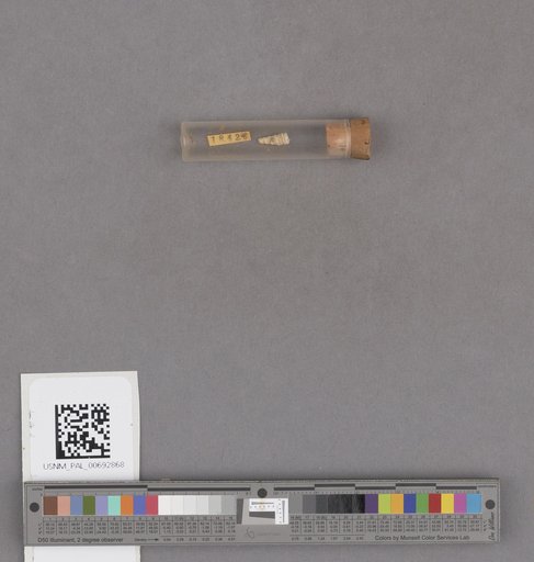 NSF ADBC EPICC TCN