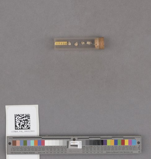 NSF ADBC EPICC TCN