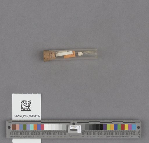 NSF ADBC EPICC TCN