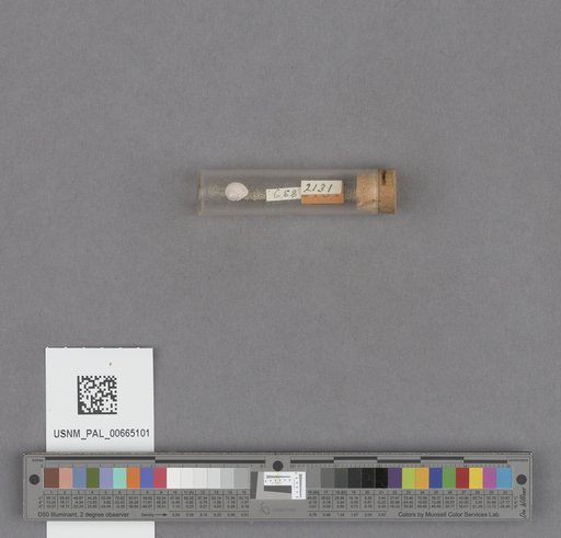 NSF ADBC EPICC TCN