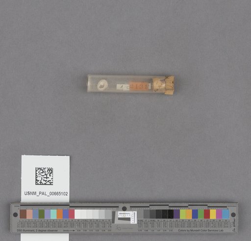 NSF ADBC EPICC TCN