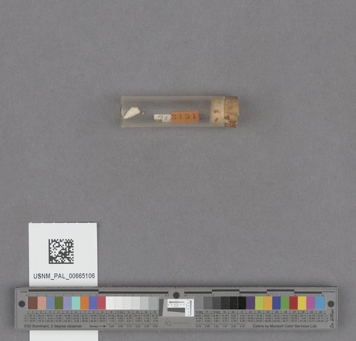 NSF ADBC EPICC TCN