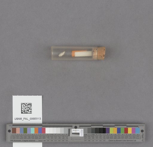 NSF ADBC EPICC TCN