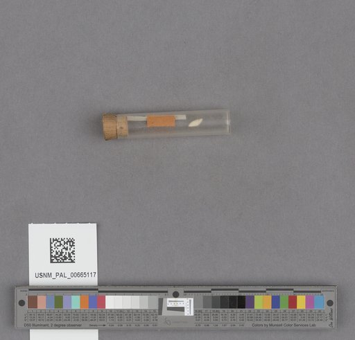 NSF ADBC EPICC TCN