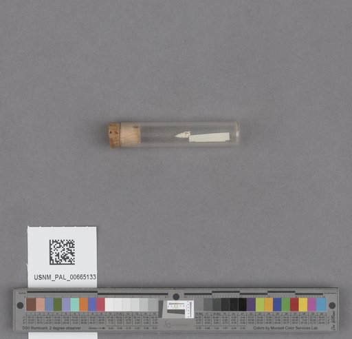NSF ADBC EPICC TCN