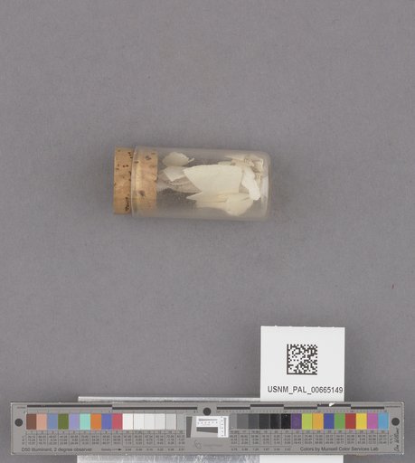 NSF ADBC EPICC TCN