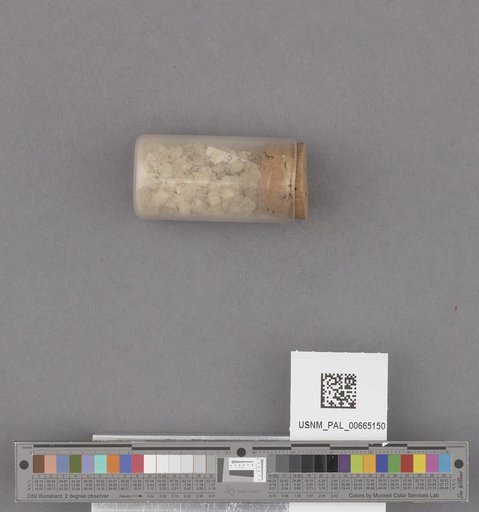 NSF ADBC EPICC TCN