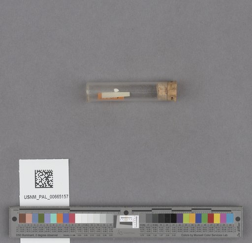 NSF ADBC EPICC TCN