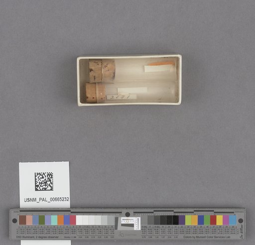 NSF ADBC EPICC TCN