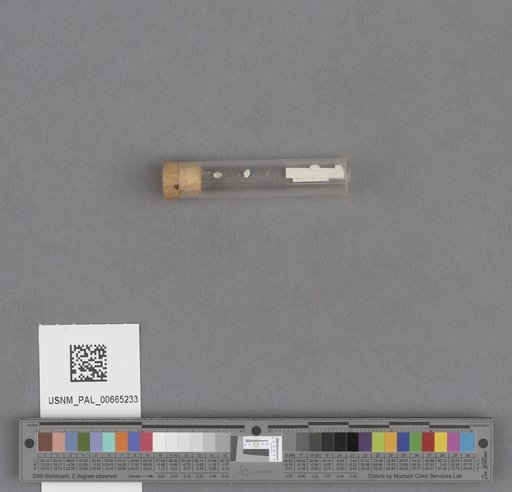 NSF ADBC EPICC TCN