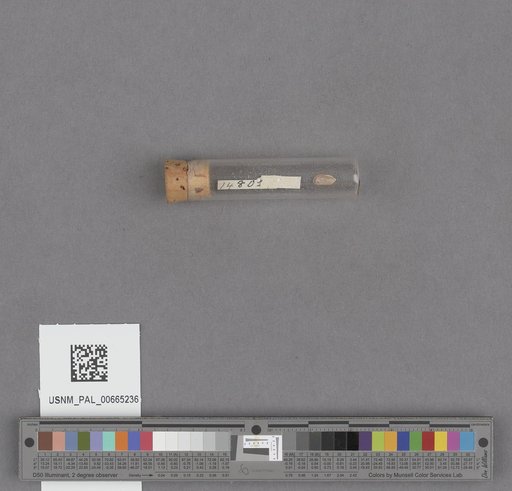 NSF ADBC EPICC TCN