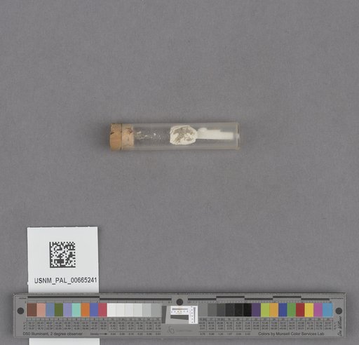 NSF ADBC EPICC TCN