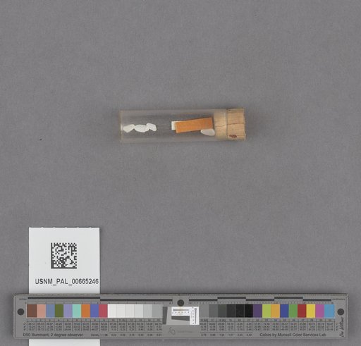 NSF ADBC EPICC TCN