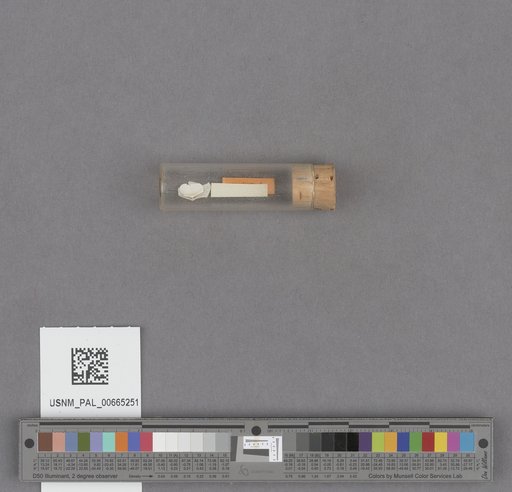 NSF ADBC EPICC TCN