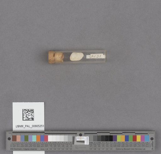 NSF ADBC EPICC TCN