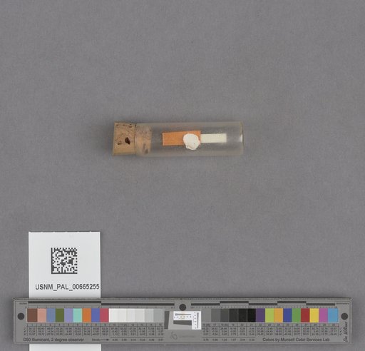 NSF ADBC EPICC TCN