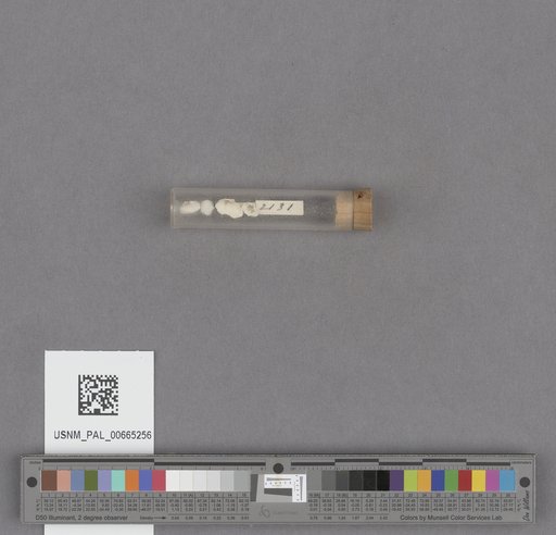 NSF ADBC EPICC TCN