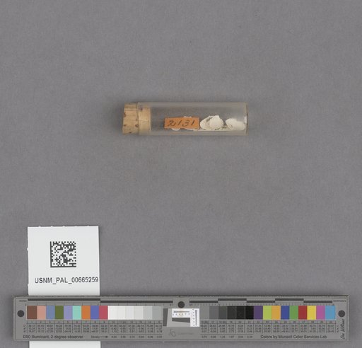 NSF ADBC EPICC TCN