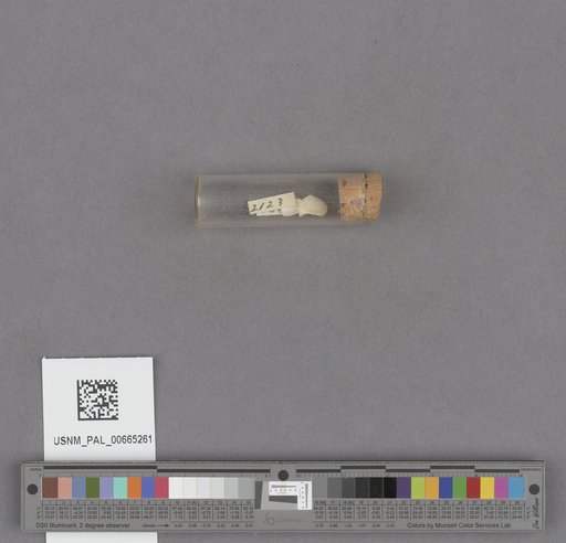 NSF ADBC EPICC TCN