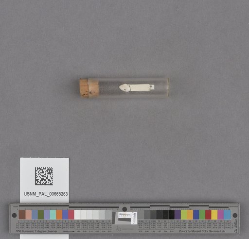 NSF ADBC EPICC TCN