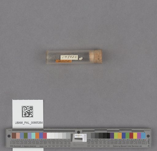 NSF ADBC EPICC TCN