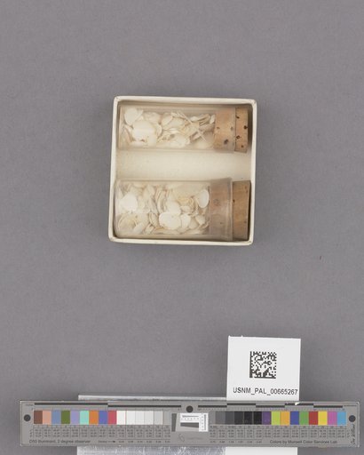 NSF ADBC EPICC TCN