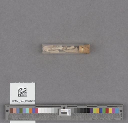 NSF ADBC EPICC TCN