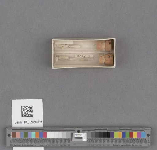 NSF ADBC EPICC TCN