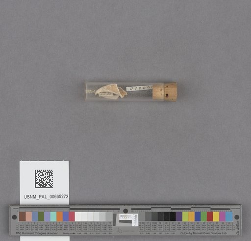 NSF ADBC EPICC TCN