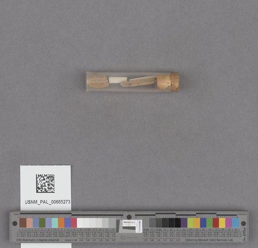 NSF ADBC EPICC TCN