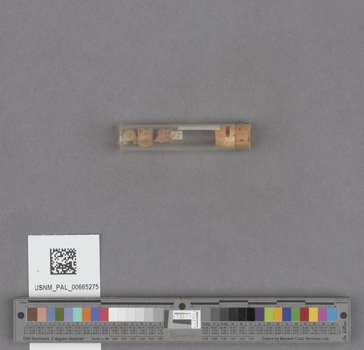 NSF ADBC EPICC TCN