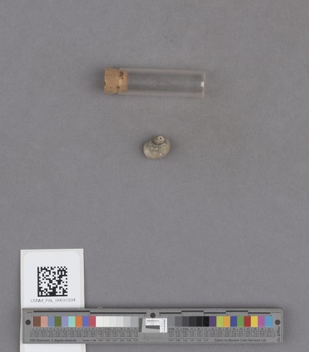 NSF ADBC EPICC TCN