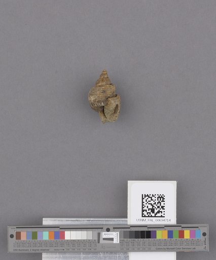 NSF ADBC EPICC TCN