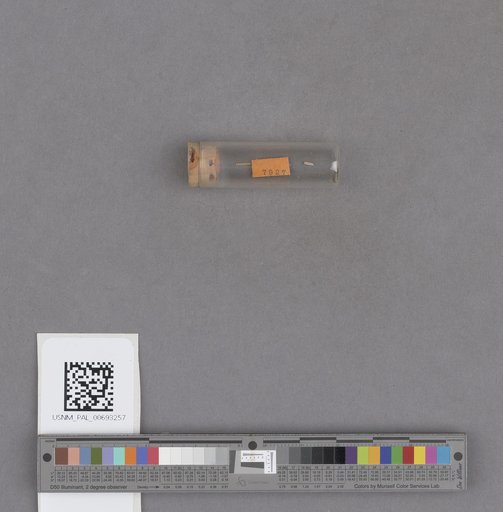NSF ADBC EPICC TCN