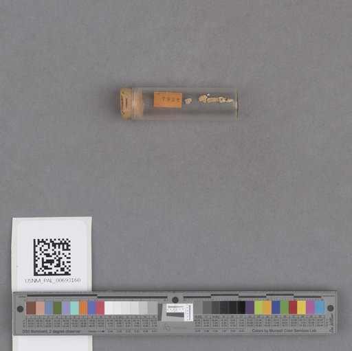 NSF ADBC EPICC TCN