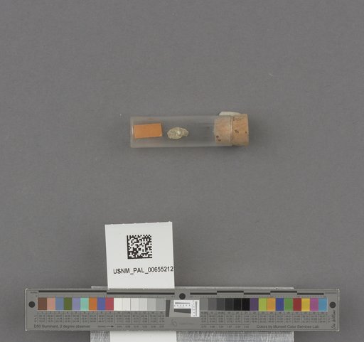 NSF ADBC EPICC TCN