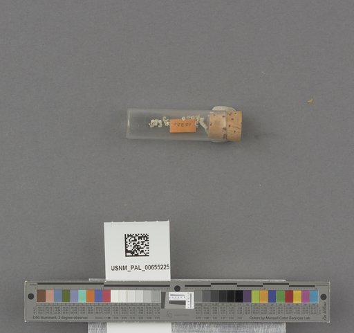 NSF ADBC EPICC TCN