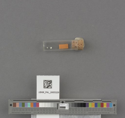 NSF ADBC EPICC TCN