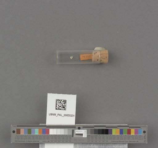 NSF ADBC EPICC TCN