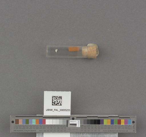 NSF ADBC EPICC TCN