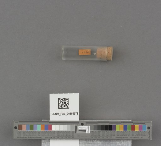 NSF ADBC EPICC TCN