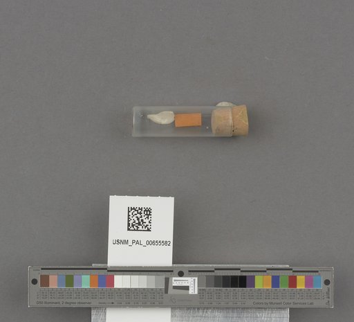 NSF ADBC EPICC TCN