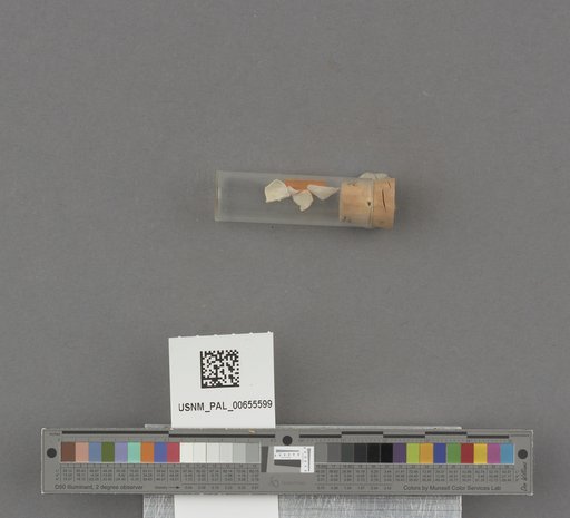 NSF ADBC EPICC TCN