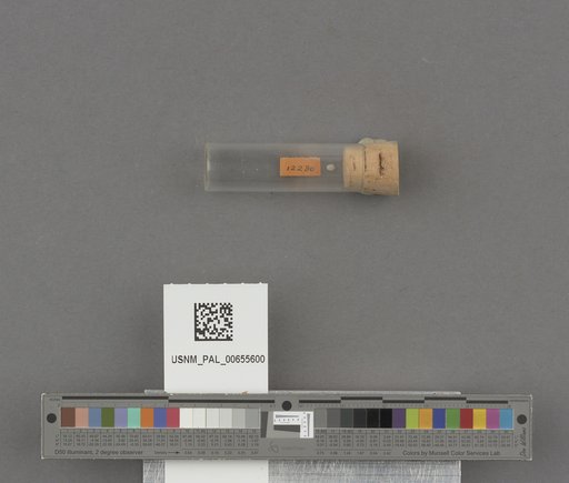 NSF ADBC EPICC TCN